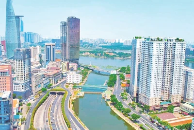 Một số dự án nhà ở tại trung tâm Thành phố Hồ Chí Minh. (ảnh CT) 