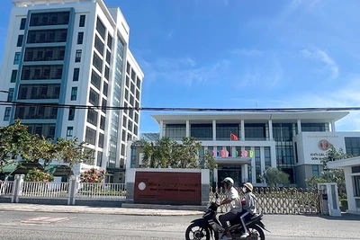 Nhiều cơ quan ở tỉnh Đồng Tháp được hợp nhất, sáp nhập. (Ảnh: HỮU NGHĨA)