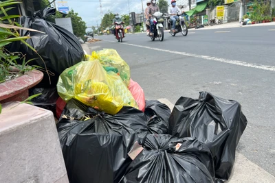 Nhiều túi rác chậm thu gom tại ấp Tân Trong, xã Tân Mỹ.