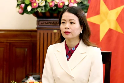 Thứ trưởng Ngoại giao Nguyễn Minh Hằng. (Ảnh: Bộ Ngoại giao Việt Nam)