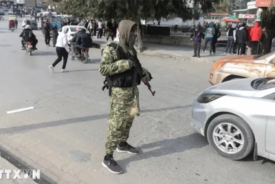 Tay súng nổi dậy gác trên đường phố ở Hama, Syria. (Ảnh: REUTERS/TTXVN)