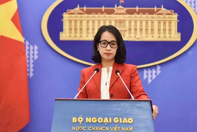 Người phát ngôn Bộ Ngoại giao Việt Nam Phạm Thu Hằng. (Ảnh: Báo Thế giới và Việt Nam cung cấp)