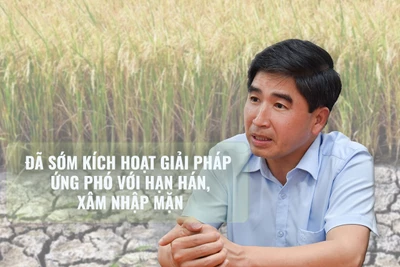 Đã sớm kích hoạt giải pháp ứng phó với hạn hán, xâm nhập mặn