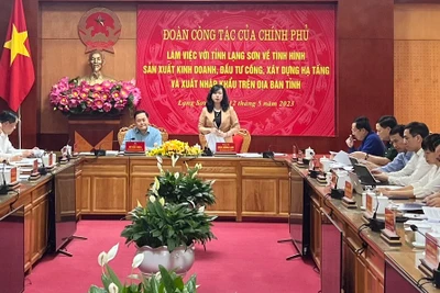 Đồng chí Đào Hồng Lan, Ủy viên Trung ương Đảng, Bộ trưởng Y tế, phát biểu tại buổi làm việc với lãnh đạo tỉnh Lạng Sơn. 