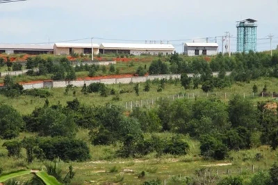 Trại heo của Công ty Trách nhiệm hữu hạn Làng Việt Nam