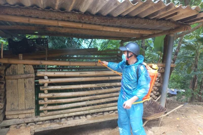 Các địa phương tại Hà Giang tiến hành phun thuốc khử trùng chuồng trại chăn nuôi tại các hộ gia đình xảy ra dịch bệnh.