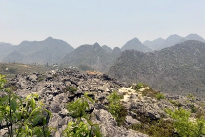 Cao nguyên đá Đồng Văn sẽ có nhiều điểm mỏ đá được đưa ra đấu giá trong năm nay.