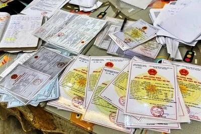 Các loại tài liệu làm giả trong vụ án. (Ảnh: CÔNG AN TỈNH NAM ĐỊNH)