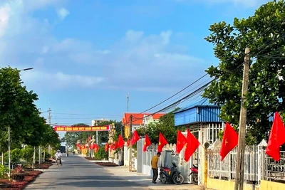 Ảnh minh họa: Vùng quê nông thôn mới đáng sống ở xã Giao Lạc, huyện Giao Thủy (Nam Định).