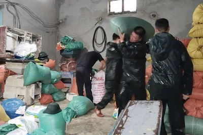 Người dân một số xã huyện Ý Yên (Nam Định) di chuyển tài sản đến nơi an toàn.