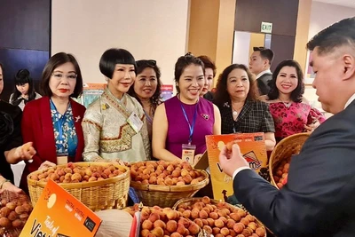 Một hoạt động giới thiệu sản phẩm vải thiều Việt Nam tại Thái Lan.