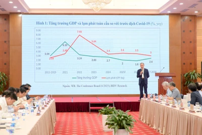 TS Cấn Văn Lực, thành viên Hội đồng Tư vấn Chính sách Tài chính-Tiền tệ quốc gia, trình bày tham luận tại Hội thảo. Ảnh THẾ ĐẠI