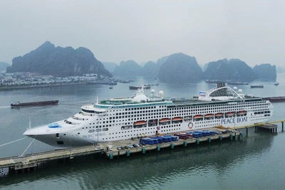 Tàu Pacific World cập cảng tàu khách quốc tế Hạ Long.