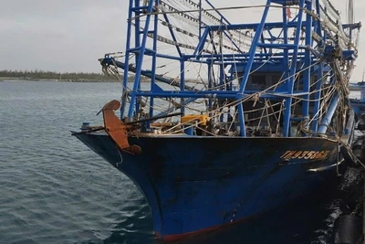 Tàu cá TH 93586TS cập vào âu tàu đảo Trường Sa. (Ảnh: CTV HQ) 