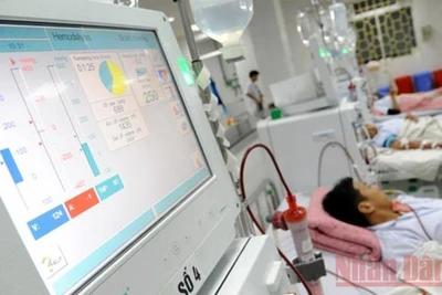 Ảnh: Trần Hải.