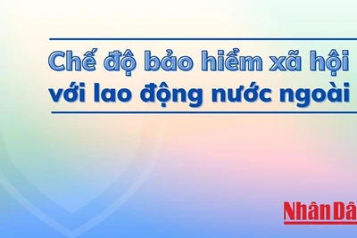 Đồ họa: Phương Nam.