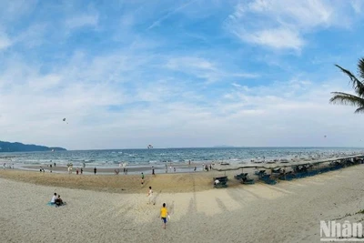 [Video] Xử lý nguồn nước thải gây ô nhiễm các tuyến đường ven biển Đà Nẵng