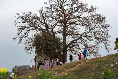 Ảnh chụp nguyên gốc...