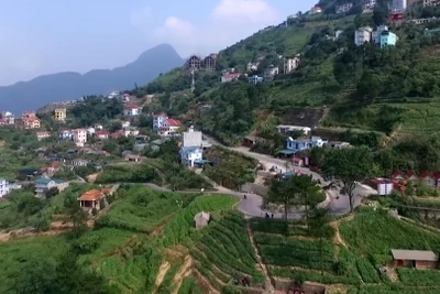 Vĩnh Phúc - Yêu lắm Việt Nam