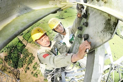 Công nhân Công ty Truyền tải điện Tây Bắc kiểm tra, sửa chữa đường dây 500kV Sơn La-Hiệp Hòa (Phú Thọ). (Ảnh ĐỨC ANH)