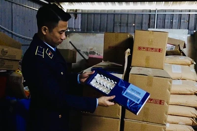 Lực lượng quản lý thị trường kiểm tra hàng hóa giả nhãn hiệu tại hộ kinh doanh N.V.T. trên địa bàn huyện Chương Mỹ (Hà Nội).