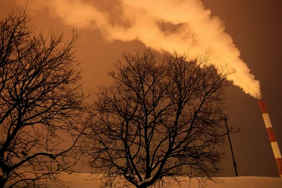 Ảnh minh họa. (Nguồn: Reuters)