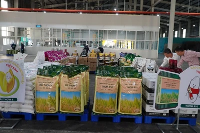 Dự báo thị trường gạo xuất khẩu sẽ còn tiếp tục sôi động thời gian tới.