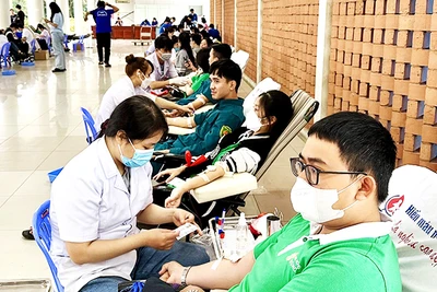 Sinh viên tham gia hiến máu tại ngày hội hiến máu tình nguyện “Chủ nhật Đỏ”.