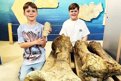 Phát hiện xương voi thời tiền sử 