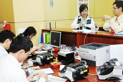 Tỷ giá chịu tác động mạnh mẽ do nhu cầu nhập khẩu hàng hóa của các doanh nghiệp. Ảnh: NAM HẢI