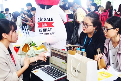 Ngày hội việc làm - Job Fair năm 2023