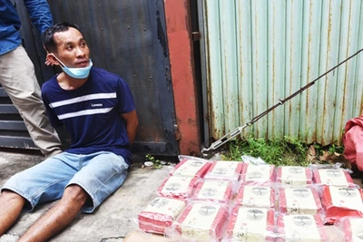 Bắt giữ đối tượng Trương Ngọc Điệp cùng tang vật.