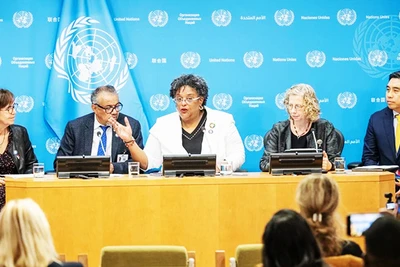 Thảo luận tại Hội nghị cấp cao của UNGA về AMR. Ảnh: UN