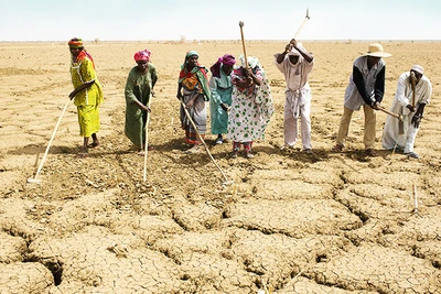 Hạn hán khắc nghiệt khiến nhiều người châu Phi tìm cách di cư. Ảnh: CARITAS
