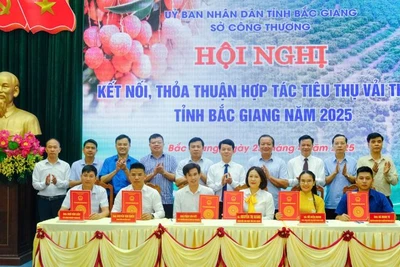 Ký kết hợp tác tiêu thụ vải thiều Bắc Giang 2025.