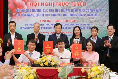 Các đại biểu ký kết xuất khẩu vải thiều sang Mỹ tại điểm cầu Bắc Giang.