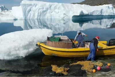 [Video] Greenland "bật đèn xanh" hợp tác khoáng sản với EU 
