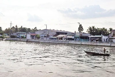 Một khúc sông Ô Môn.