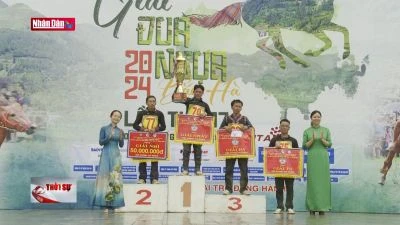 Lào Cai: Hấp dẫn vòng chung kết đua ngựa Bắc Hà