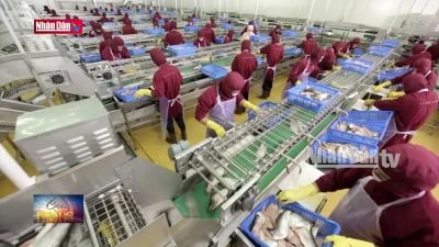 Công nghệ sinh học phát triển nuôi biển bền vững