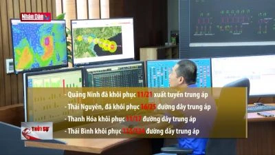 Tập trung khắc phục lưới điện sau khi bão số 3 đi qua