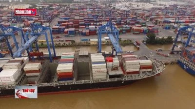 Xuất khẩu gặp khó vì giá cước vận tải biển