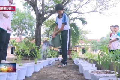 Phong trào Kế hoạch nhỏ, ý nghĩa lớn dịp Tết đến xuân về