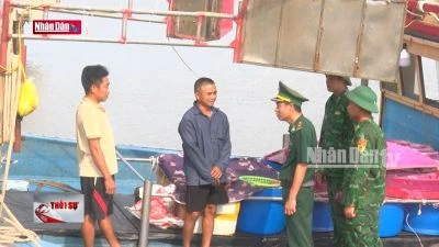 Cụm tin các địa phương cấm biển để phòng, chống bão số 3