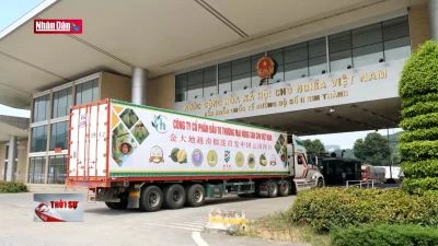 Xuất khẩu gần 122 nghìn tấn sầu riêng qua cửa khẩu Lào Cai