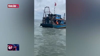 Cứu 2 ngư dân khi tàu cá bị chìm