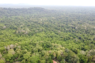 Vườn quốc gia Cát Tiên nhìn từ trên cao.