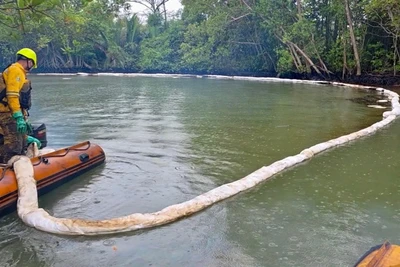 Lực lượng xử lý môi trường đang khoanh vùng dầu loang. 