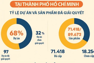 Tiến độ cấp sổ hồng.