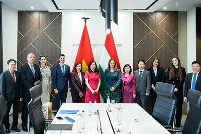 Thứ trưởng Ngoại giao Lê Thị Thu Hằng và Phó Quốc Vụ khanh Bộ Ngoại giao và Kinh tế Đối ngoại Hungary Bihari Katalin đồng chủ trì Tham vấn chính trị Việt Nam-Hungary. (Ảnh: Bộ Ngoại giao)